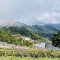 IMG_6421.jpg