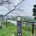 IMG_6435.jpg