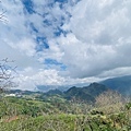IMG_6440.jpg