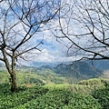 IMG_6443.jpg