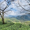 IMG_6444.jpg