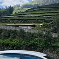 IMG_6449.jpg