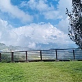 IMG_6454.jpg