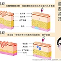 紋路-01.jpg