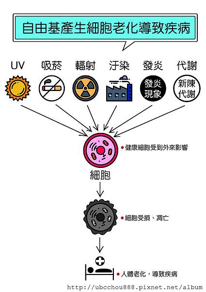 LD 4 自由基產生細胞老化導致疾病.jpg