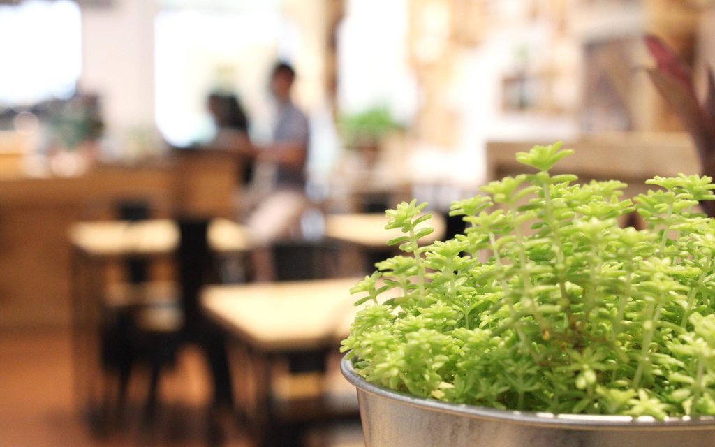 CAFE LOCH - 客立樂 QLiEER | iPad POS 點餐收銀系統