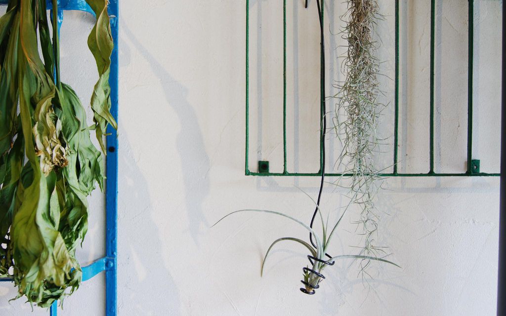 享家時刻 - 客立樂 QLiEER | iPad POS 點餐收銀系統