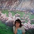 我和一堆羊拍