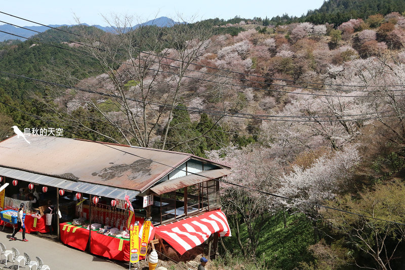 吉野山一目千本的櫻花絕景 中千本如意輪寺 吉水神社篇 烏秋的天空 痞客邦 吉野山一目千本的櫻花絕景 中千本如意輪寺 吉水神社篇 烏秋的天空 痞客邦