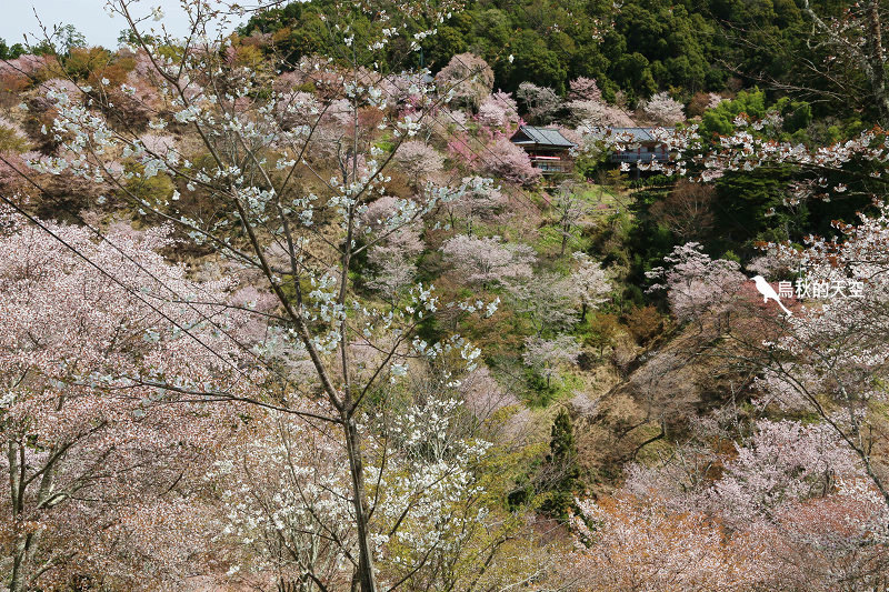 IMG_1498.jpg IMG_1498.jpg