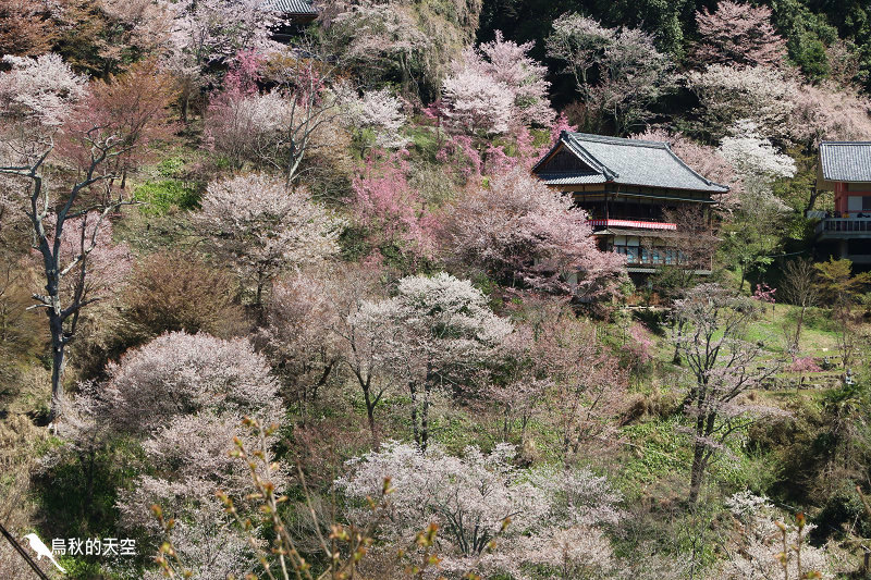 IMG_1500.jpg IMG_1500.jpg