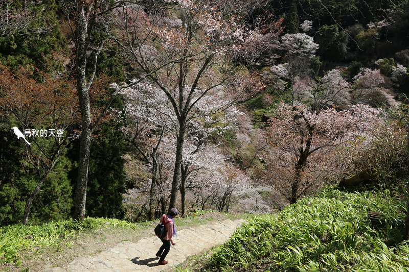 IMG_1505.jpg IMG_1505.jpg