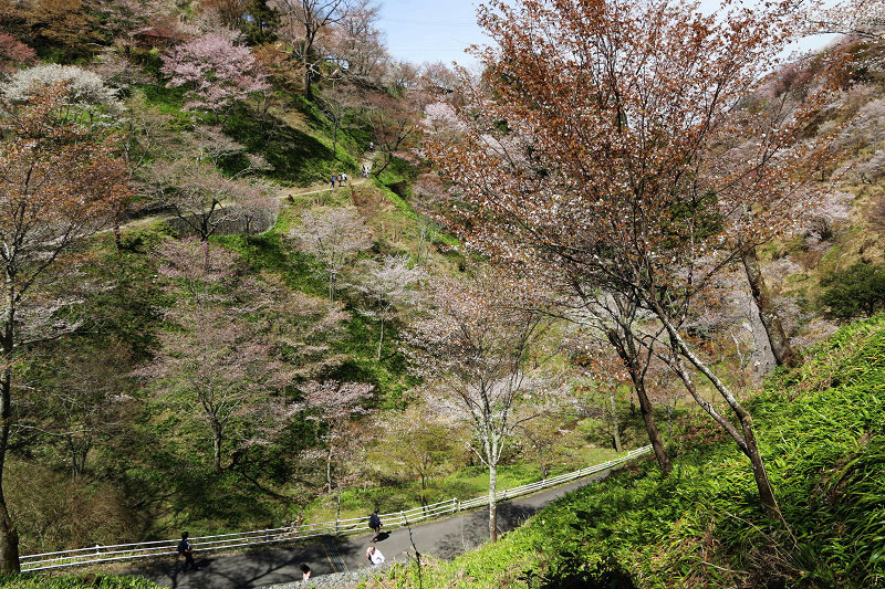 IMG_1514.jpg IMG_1514.jpg