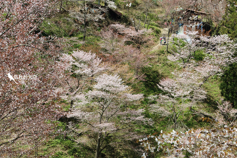 IMG_1517.jpg IMG_1517.jpg