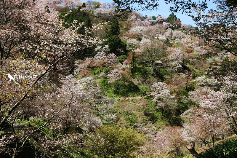 IMG_1522.jpg IMG_1522.jpg