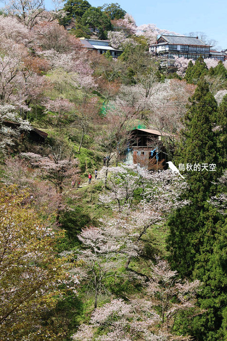 IMG_1519.jpg IMG_1519.jpg