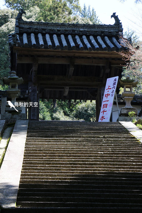 IMG_1525.jpg IMG_1525.jpg