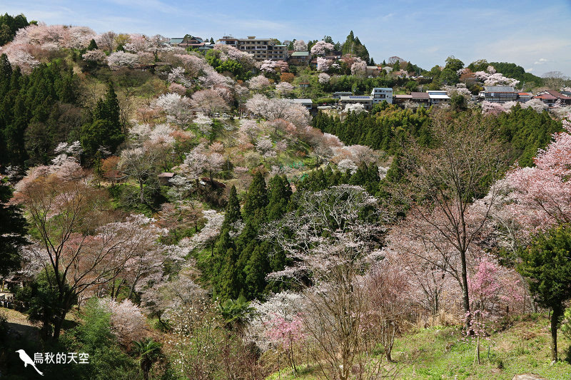 IMG_1531.jpg IMG_1531.jpg