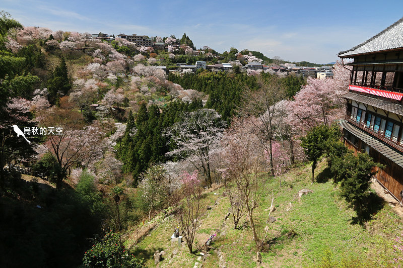 IMG_1533.jpg IMG_1533.jpg