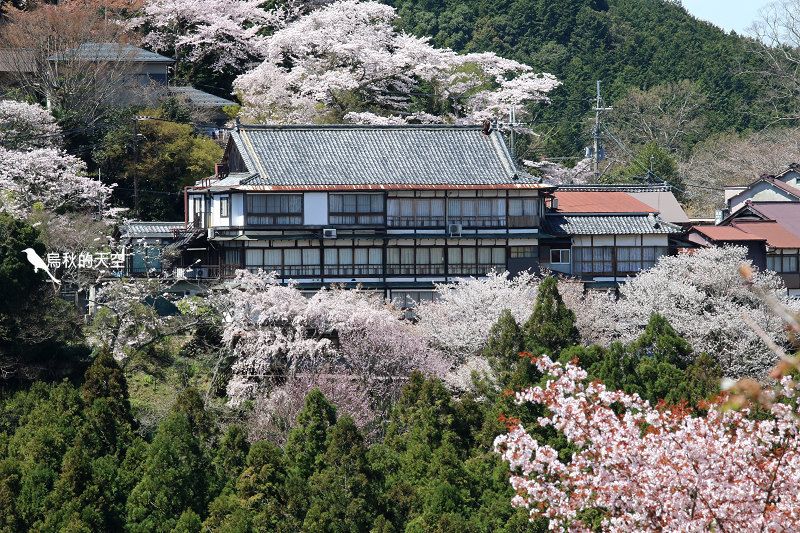 IMG_1540.jpg IMG_1540.jpg