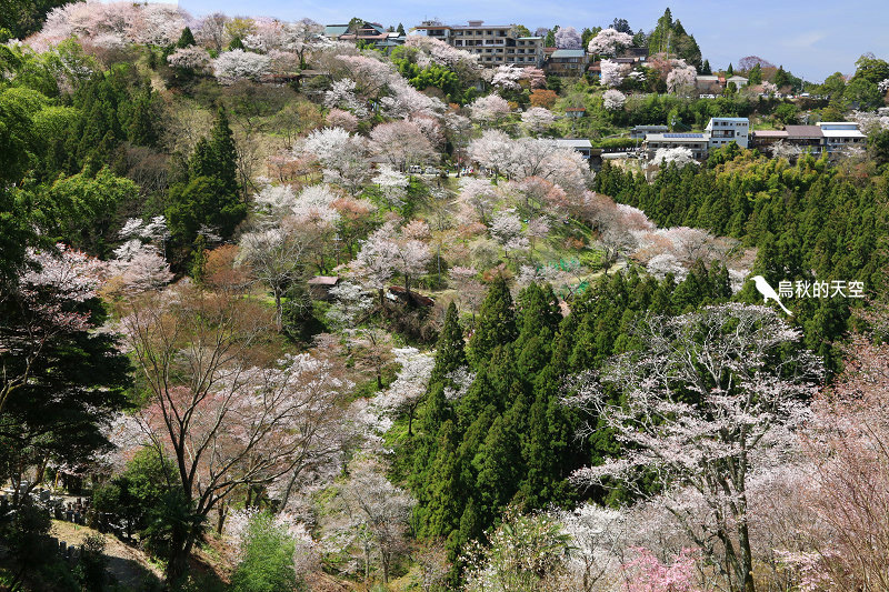 IMG_1536.jpg IMG_1536.jpg