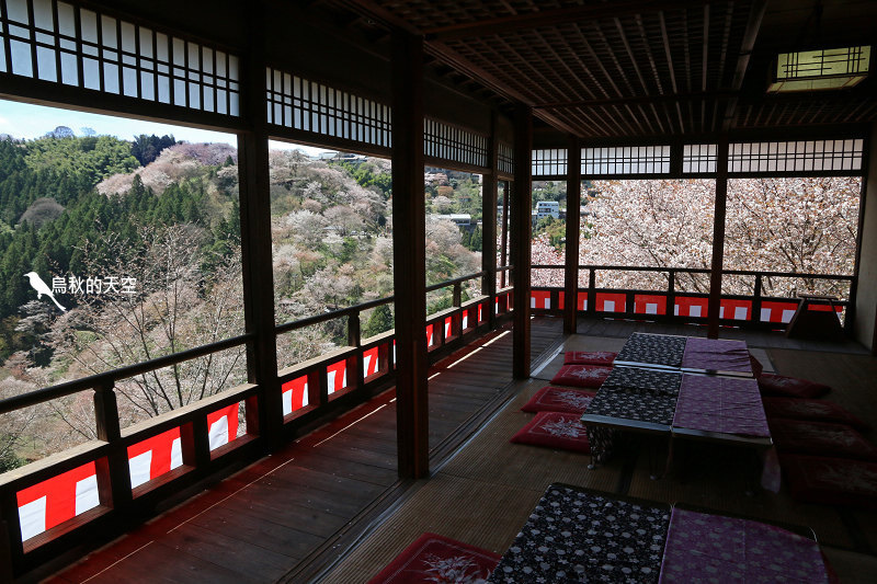 IMG_1551.jpg IMG_1551.jpg