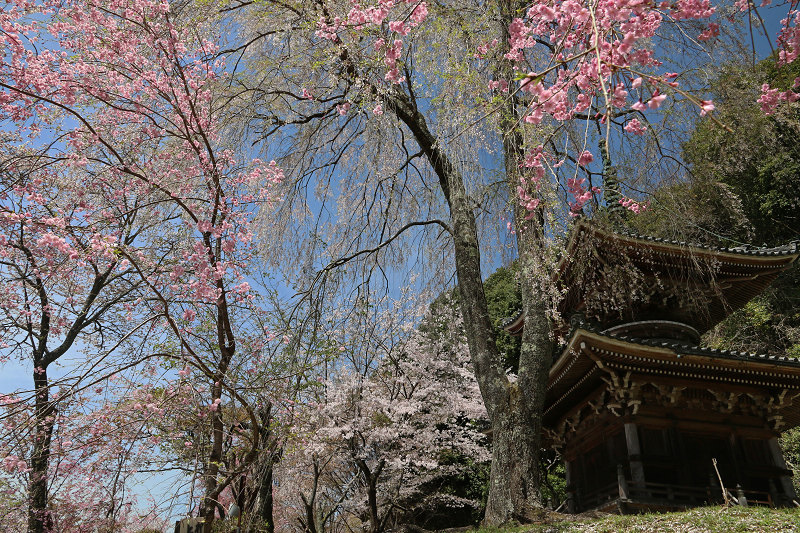 IMG_1564.jpg IMG_1564.jpg