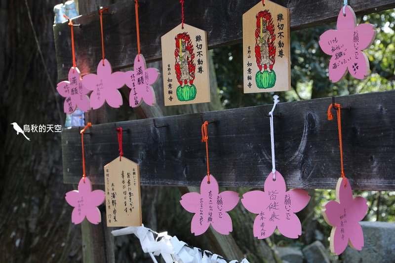 IMG_1579.jpg IMG_1579.jpg