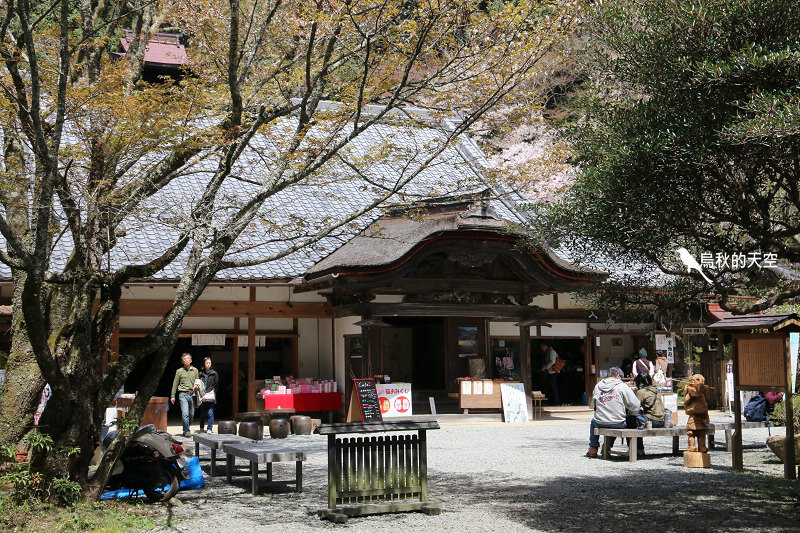 IMG_1582.jpg IMG_1582.jpg