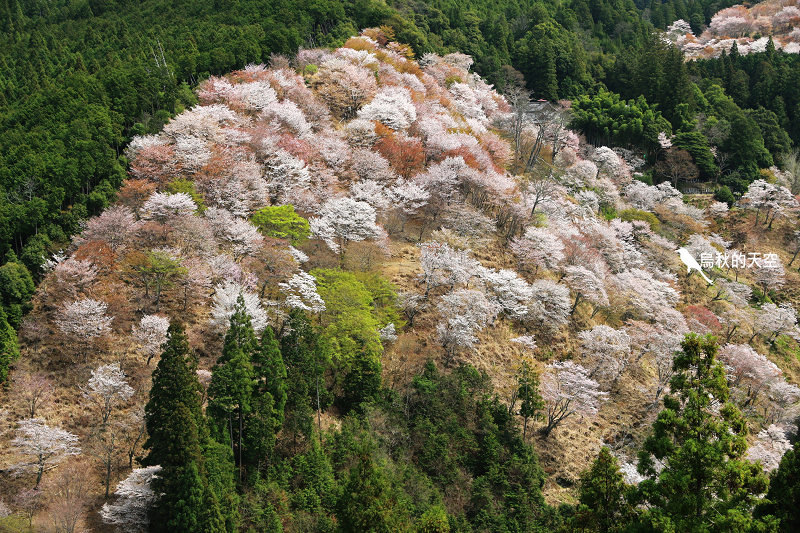 IMG_1616.jpg IMG_1616.jpg