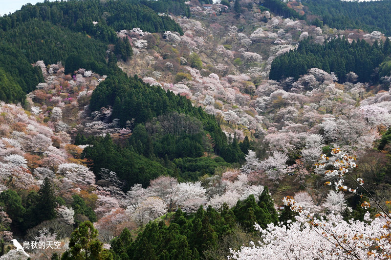 IMG_1619.jpg IMG_1619.jpg