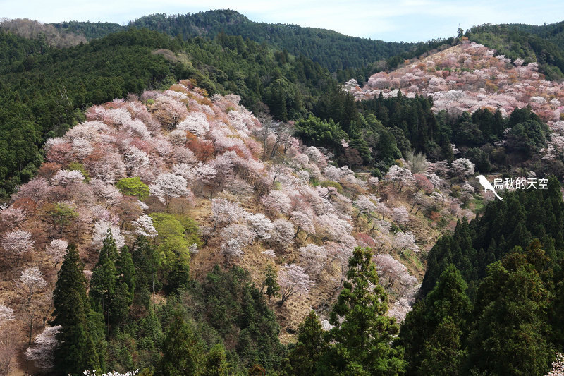 IMG_1621.jpg IMG_1621.jpg