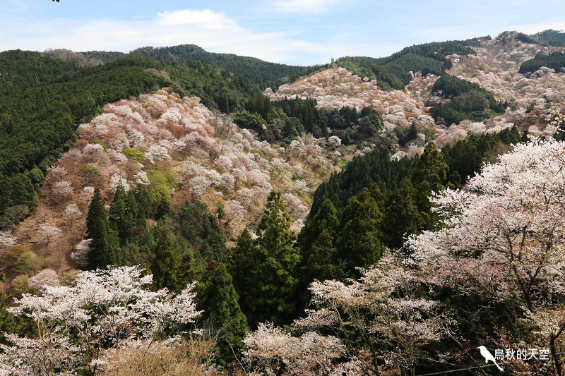 IMG_1622.jpg IMG_1622.jpg