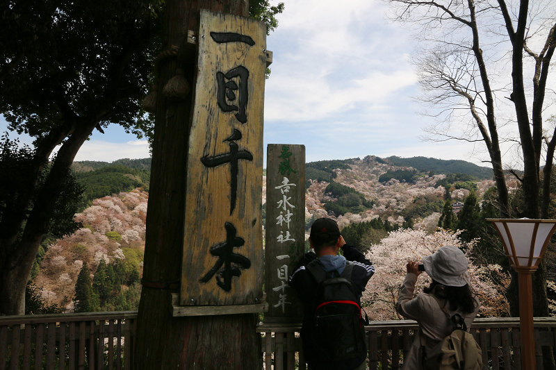 IMG_1627.jpg IMG_1627.jpg