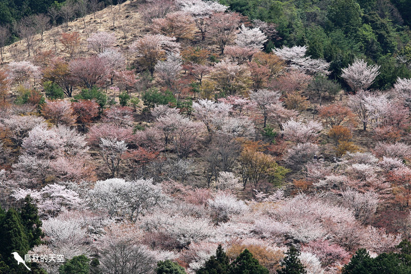 IMG_1632.jpg IMG_1632.jpg