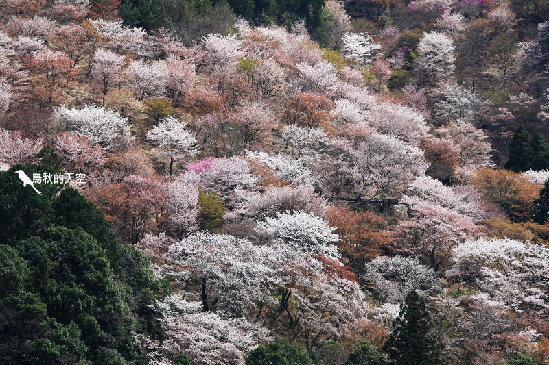 IMG_1633.jpg IMG_1633.jpg