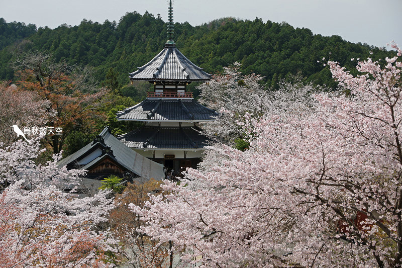 IMG_1652.jpg IMG_1652.jpg