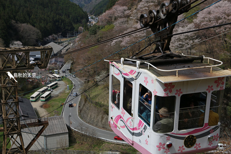 IMG_1664.jpg IMG_1664.jpg