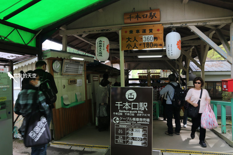 IMG_1667.jpg IMG_1667.jpg