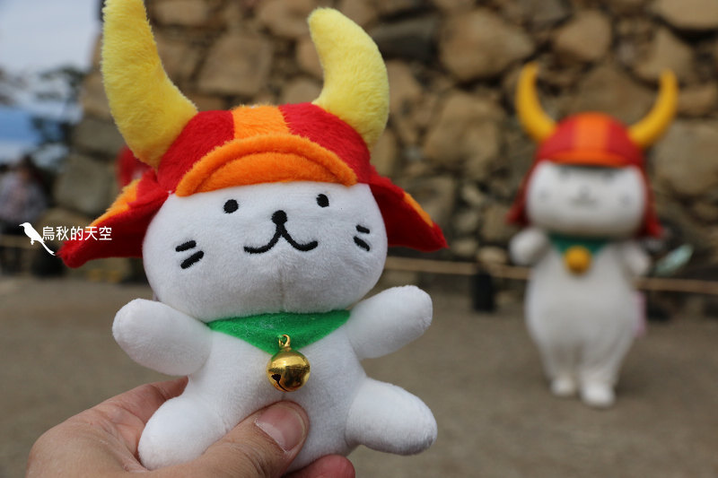 花滿彥根城 賞櫻之外還要看最療癒發萌的彥根貓 烏秋的天空 痞客邦