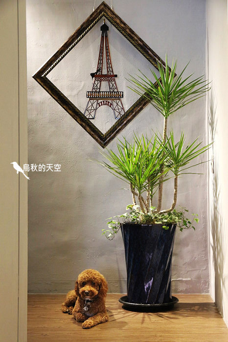 IMG_1885.jpg IMG_1885.jpg