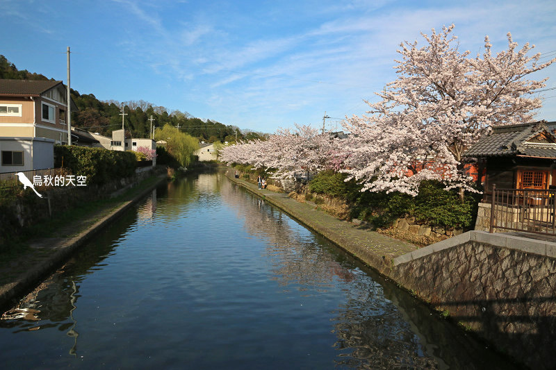 IMG_1230.jpg IMG_1230.jpg