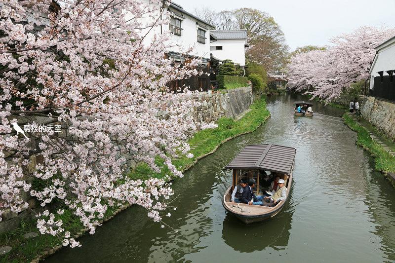 IMG_0782.jpg IMG_0782.jpg