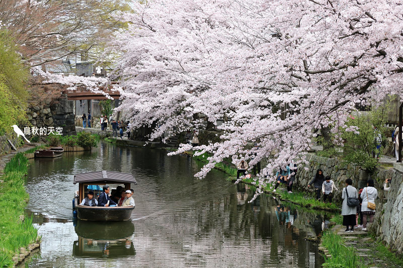 IMG_0777.jpg IMG_0777.jpg