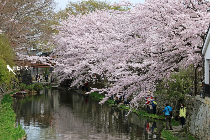 IMG_0796.jpg IMG_0796.jpg