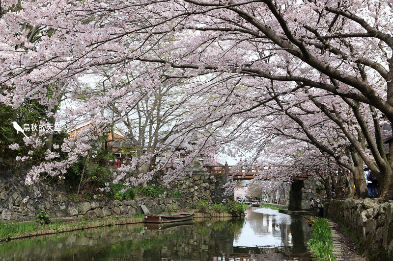 IMG_0812.jpg IMG_0812.jpg