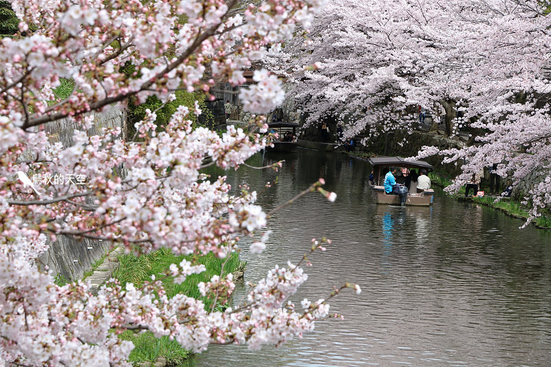 IMG_0786.jpg IMG_0786.jpg