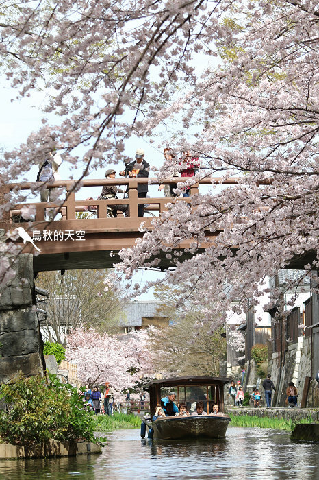 IMG_0820.jpg IMG_0820.jpg