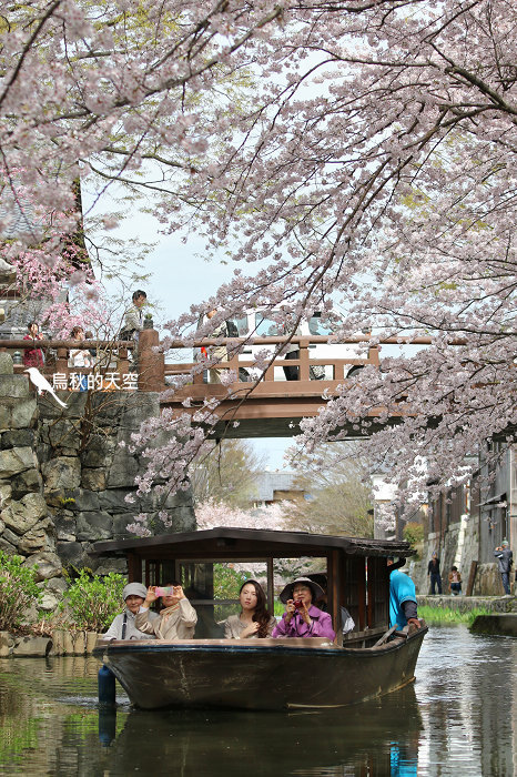 IMG_0818.jpg IMG_0818.jpg