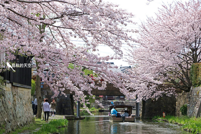 IMG_0826.jpg IMG_0826.jpg